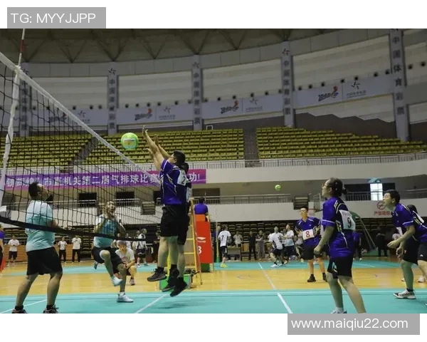 英超排球巨献揭秘南京排球队如何实现高效团队协作与默契配合 英超排球巨献揭秘南京排球队如何实现高效团队协作与默契配合