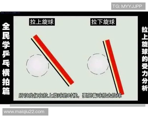 体育实时数据乒乓球新手必看快速入门攻略助你轻松掌握基本技巧与战术