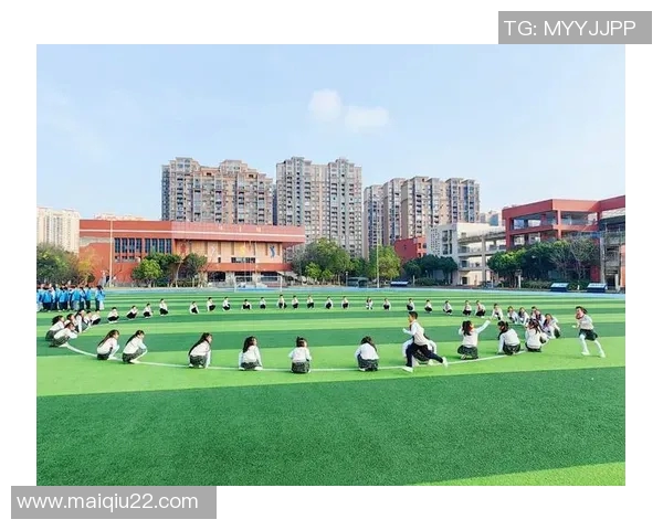 体育实时数据成都排球队的奋斗历程与荣耀之路全景纪实