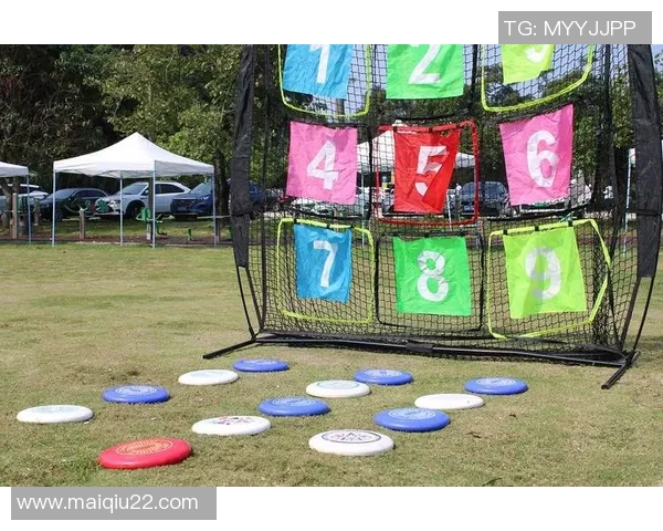 飞盘运动的魅力与挑战北京飞盘队速度提升之路探讨